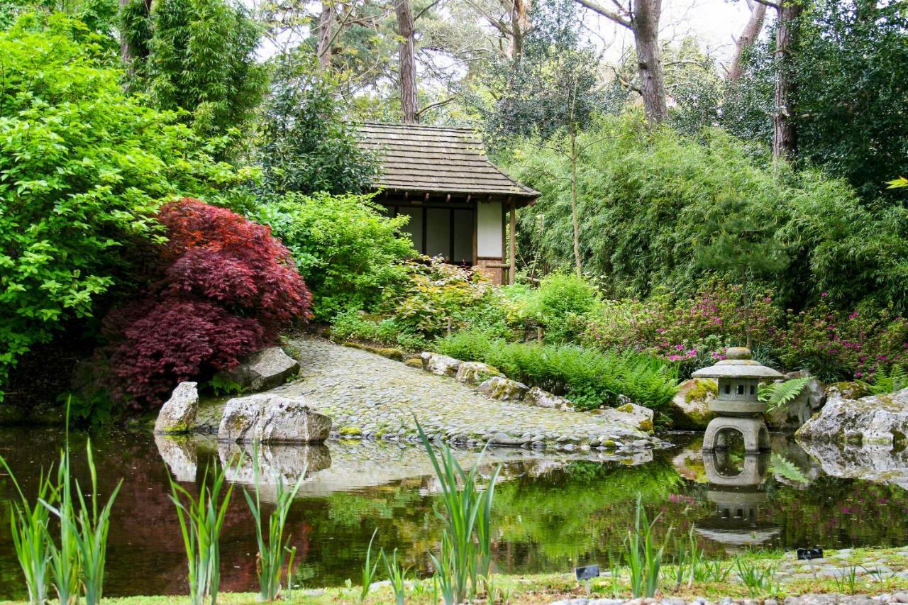Hotel Pinetum Gardens Retreats St Austell Exterior foto